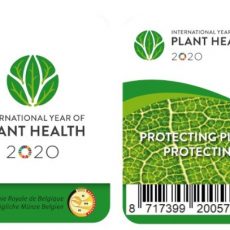 België 2 Euro 2020 Plantgezondheid Coincard Frans